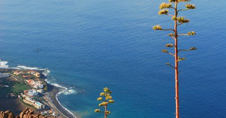 La Gomera - perła Wysp Kanaryjskich
