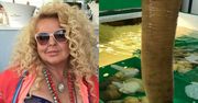 Ślimak? Trąba słonia? Magda Gessler pochwaliła się dziwnym zdjęciem
