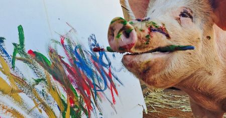 Była zwykłą świnią. Gdy uciekła spod noża, objawił się jej talent