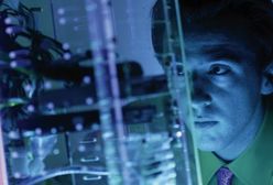 Gdzie zatrudnienie wzrośnie o 10 proc.?