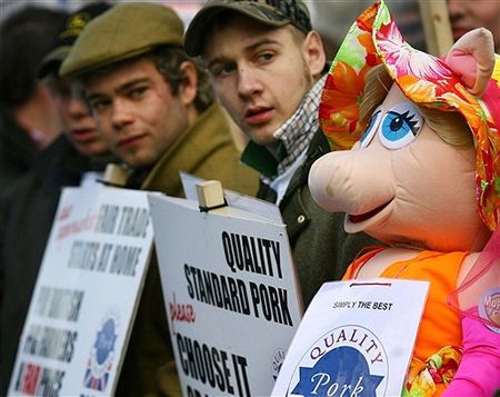 Świnka Winnie protestowała na Downing Street