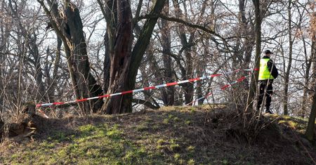 Tajemnica śmierci pielęgniarki z Ostrzeszowa. Apel o pomoc