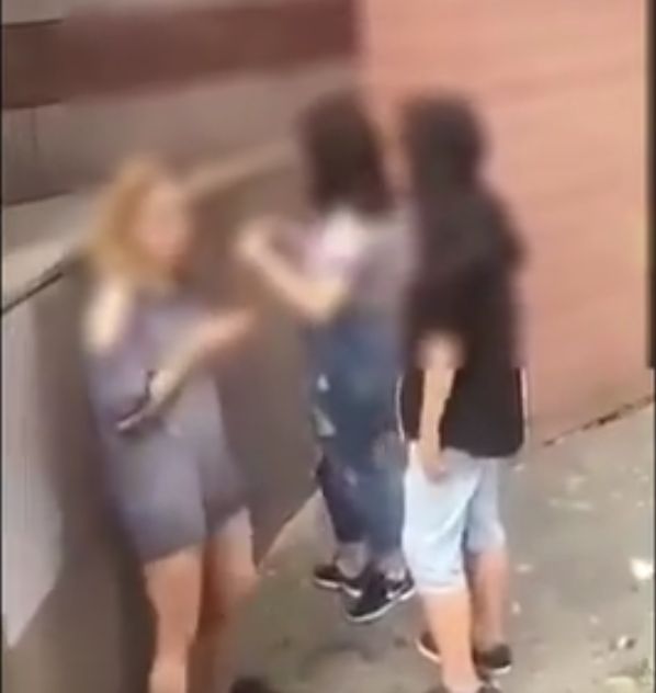 Poturbowane zwierzę przyklejone do muru. Dzieci znęcają się nad gołębiem