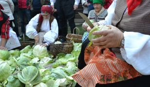 Jak wyglądało kiszenie kapusty sto lat temu? Tradycyjna receptura i pyszny smak