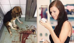 Jak rozpoznać, czy kosmetyk był testowany na zwierzętach? Firmy obchodzą prawo