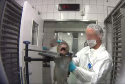 Niemieckie "laboratorium grozy" zamknięte. Zwycięstwo obrońców praw zwierząt