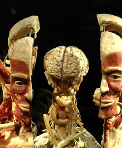 Protest przeciw kontrowersyjnej wystawie w Poznaniu