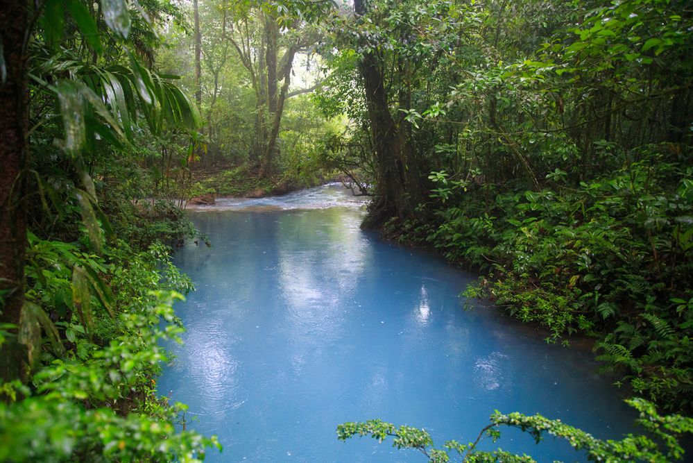 Rio Celeste - zagadka niebiańskiej rzeki rozwiązana