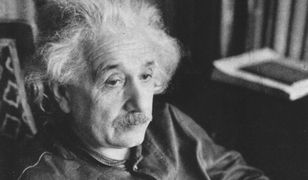 Oni wszyscy byli uchodźcami. Wiedziałeś to o nich?