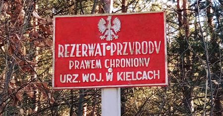 Krzemionki Opatowskie są już na liście UNESCO. Polski skarb został doceniony
