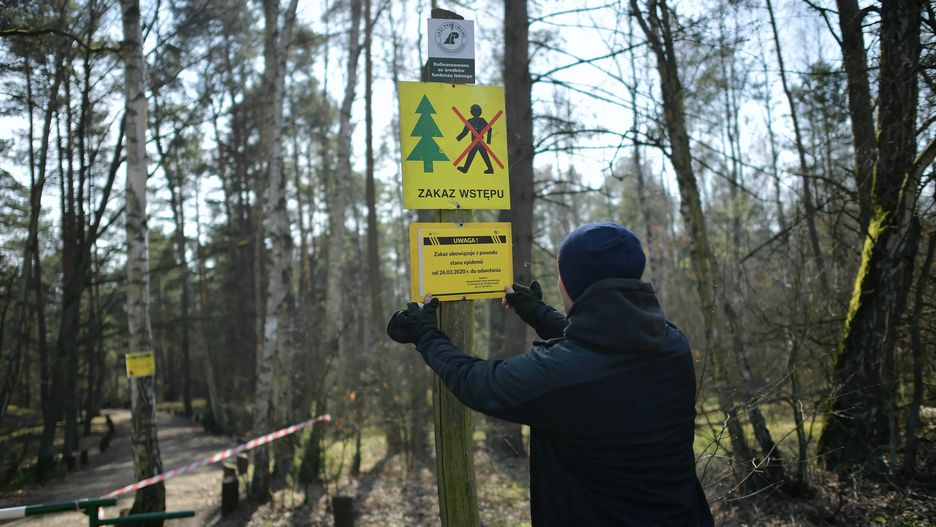 Ze względu na zagrożenie epidemią koronawirusa wprowadzono zakaz wstępu do Lasów Państwowych. Jednak część prywatnych właścicieli gotowa jest wynająć swój las do spacerów.