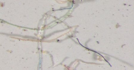 Plastik jest wszędzie? Tak. Teraz znaleziono go nawet w deszczu