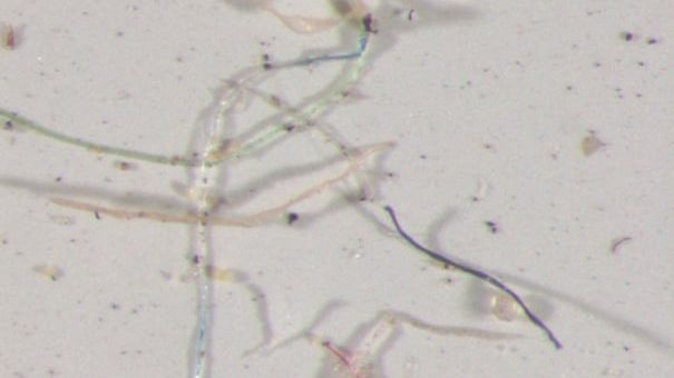 "Tęczowy" plastik pod mikroskopem