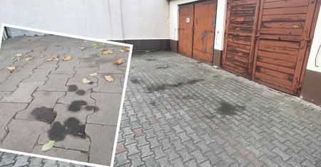 Polej tym plamy po oleju i paliwie na kostce brukowej. Podjazd będzie znów jak nowy!