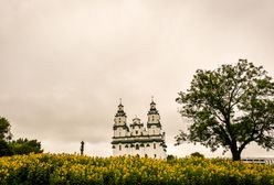 Kwietne łąki i zielone przystanki. Białostockie miejskie eko-nowinki są hitem