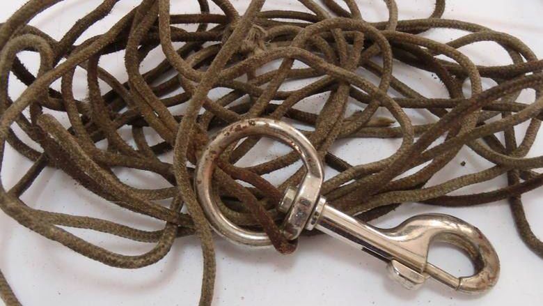 Pies był przywiązany do linki