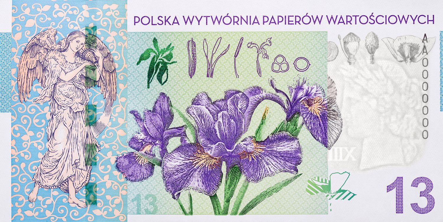 Polska Wytwórnia Papierów Wartościowych podkreśla, że banknoty testowe to w zasadzie ulotki, które nie są na sprzedaż