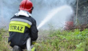 Śląskie. Strażak-piroman podpalał lasy. OSP wydała oświadczenie