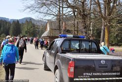 Tatry. Morskie Oko: właściciele zostawili starego psa w aucie. "Na pewno by nie przeżył"