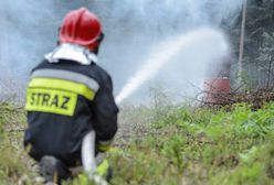 Śląskie. Strażak-piroman podpalał lasy. OSP wydała oświadczenie