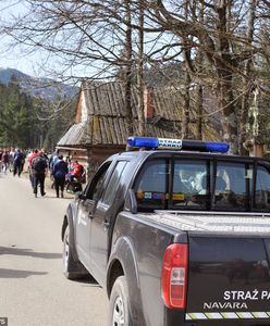 Tatry. Morskie Oko: właściciele zostawili starego psa w aucie. "Na pewno by nie przeżył"