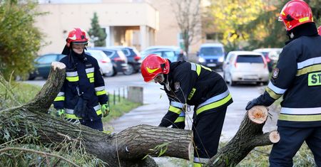 "Halina" daje Polakom w kość. Ponad 600 interwencji straży, tysiące ludzi bez prądu