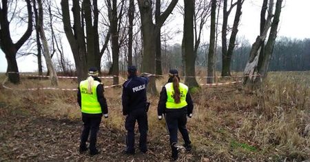 Gliwice. Makabryczne znalezisko na polu