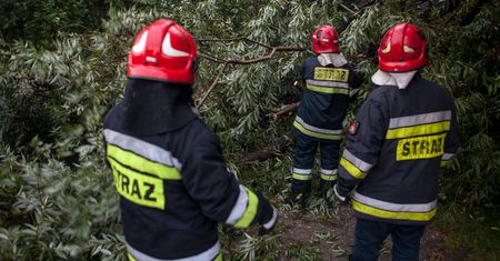 Nawałnice nad Polską. Powalone drzewa, zalane ulice