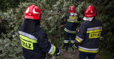 Pogoda w Polsce zwariowała. Wichury, roztopy i 12 stopni na Dolnym Śląsku