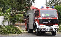 Pogoda. Silny wiatr zerwał linię energetyczną na Opolszczyźnie. Padło stado krów rażonych prądem