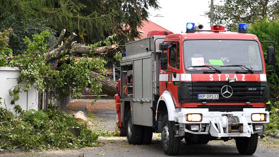 Pogoda. W miejscowości Kujawy silny wiatr spowodował zwarcie w oborze. Padło 16 krów
