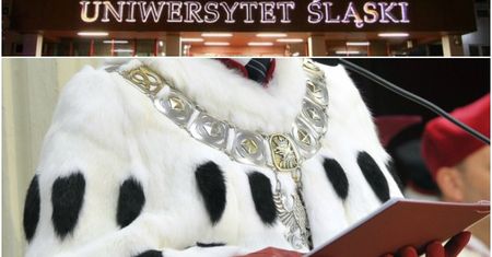Seksizm i molestowanie - profesor wpadł przez anonimowe ankiety studentek