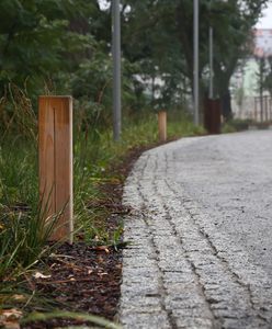 Psie pisuary stanęły we Wrocławiu. Miasto zapłaciło za nie 10 tys. zł