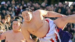 Sumo