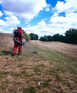 To już plaga. "Sianokosy" w miastach. Koszą wysuszone trawniki mimo apeli