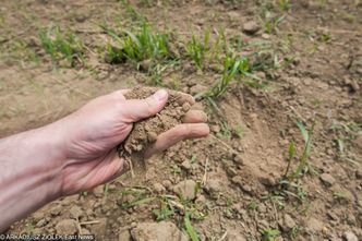 Minister rolnictwa: "Zagrożenie suszą jest poważne. Jeśli będzie konieczność, uruchomimy programy pomocowe"