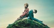 Swiss Army Man (2016)