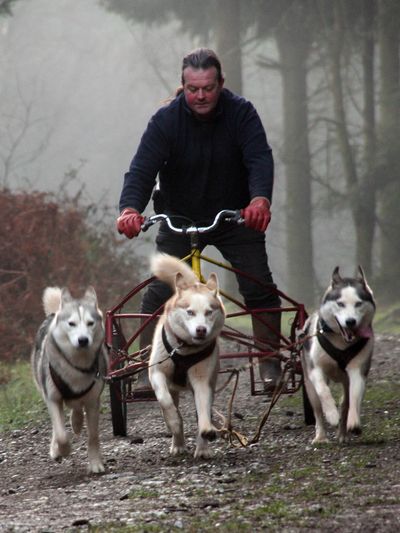 Agility – trening dla nas i naszego psa