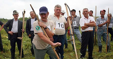 Eliminacje do mistrzostw w koszeniu łąk nad Biebrzą