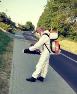 Plaga śmierdzących wijów w Śląskiem. Gmina walczy z problemem