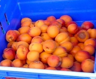 Czy zrobisz zakupy w supermarkecie z resztkami?