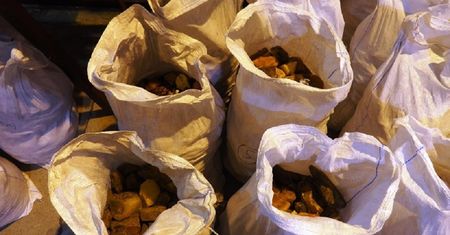 Ukrainiec próbował wwieźć do Polski 400 kg bursztynu. Jantar wyceniono na 8 mln zł