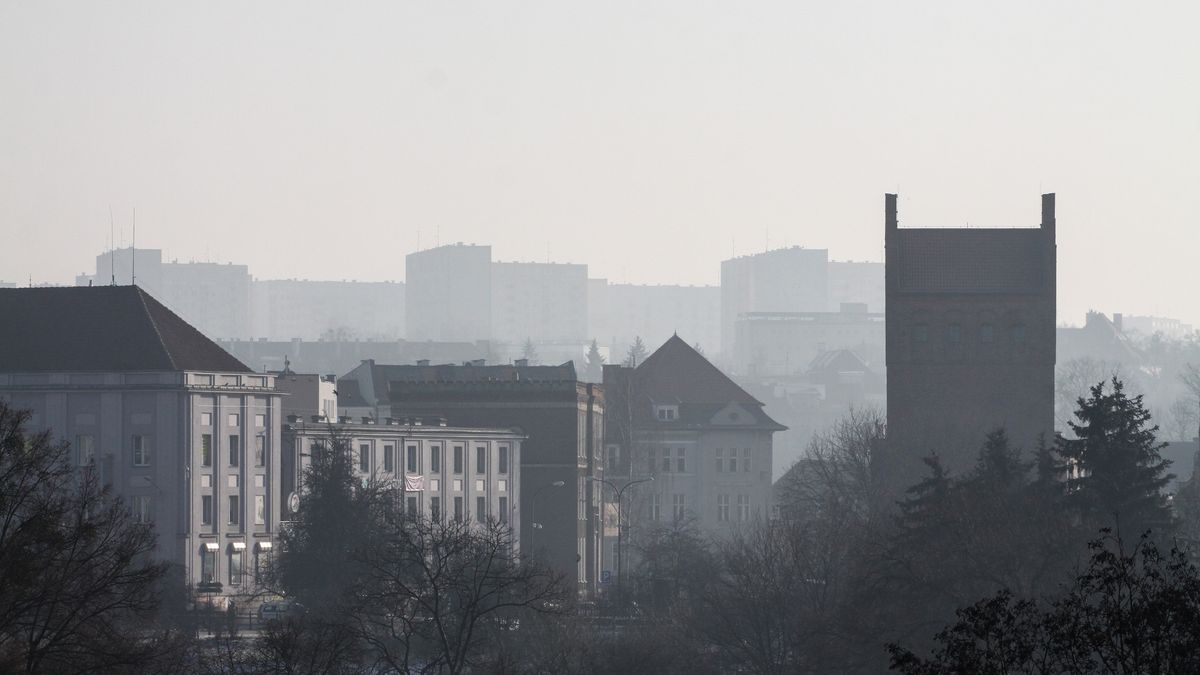 Właścicielami kamienicy rodzina Niemki jest od samego początku 