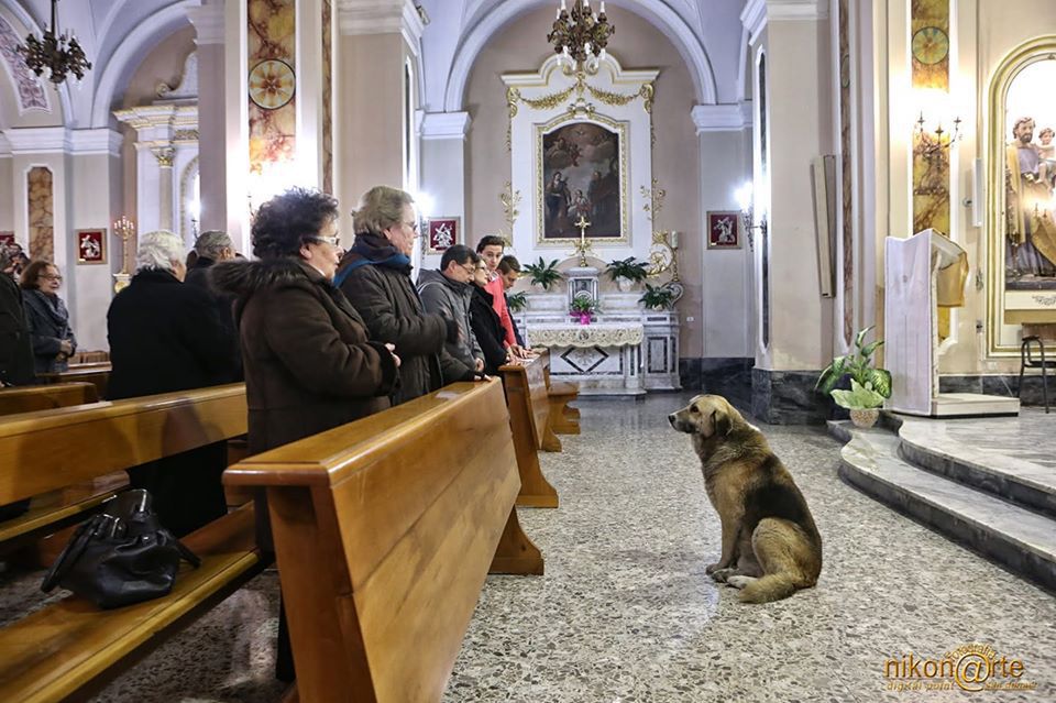 Olsztyn. W jednym z kościołów szykuje się niecodzienne spotkanie