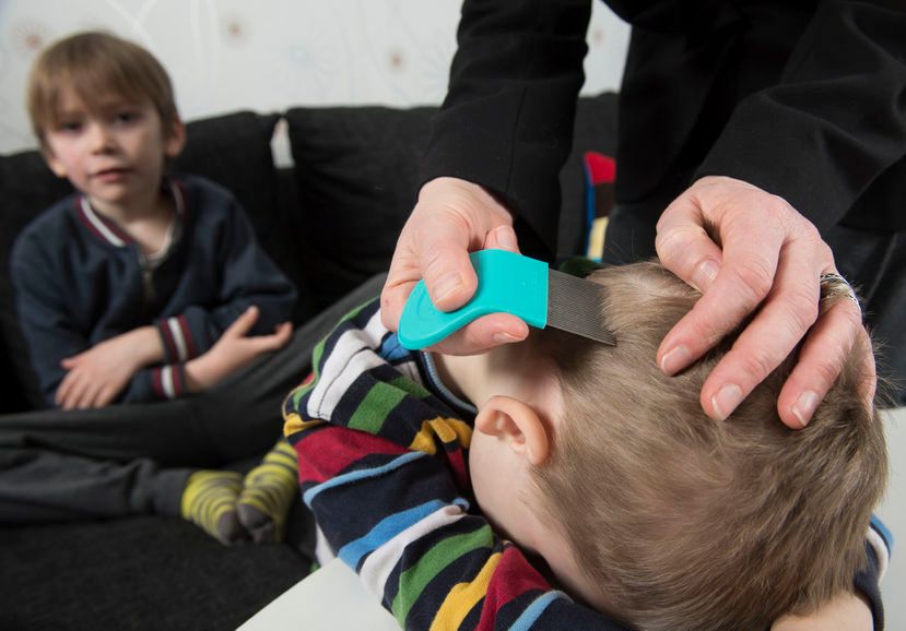 Sanepid ostrzega przed epidemią wszawicy w szkołach