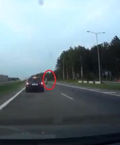 Zatrzymała ruch na autostradzie. Postanowiła pospacerować