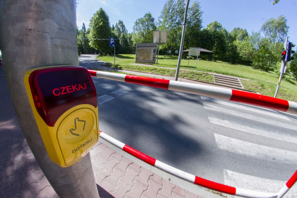Dyskryminacja pieszych w Warszawie. Chcą usunąć żółte przyciski na przejściach dla pieszych