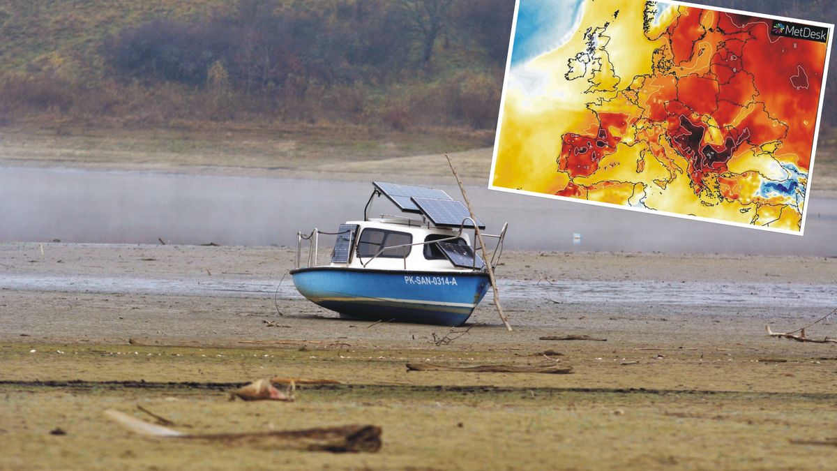 Susza w Polsce może być katastrofalna. Ostrzeżenie ministra