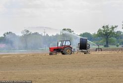 Upały w Polsce. Czy czeka nas susza?
