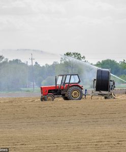 Upały w Polsce. Czy czeka nas susza?